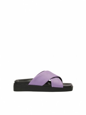 Mules Kazar Brigit Damskie Fioletowe | 897NPCIZR